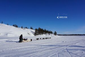 Wonderful guests enjoy a traditional dogsled tour experience with North Star Adventures in Yellowknife