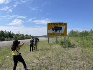 buffalo viewing tour, road trip, nwt highways