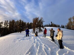 Enjoy wonderful nature hike through the frozen wilderness of northern Canada with north star adventures