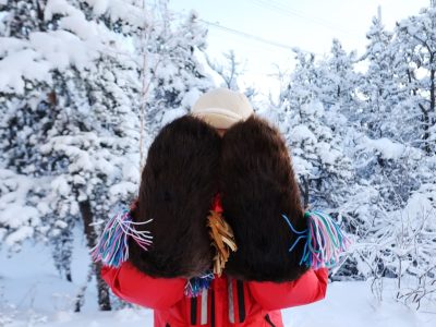 Winter Clothing Mitts